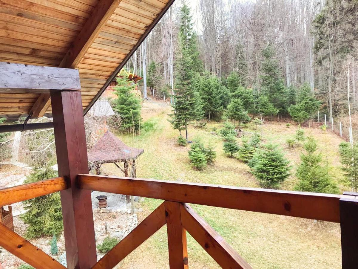 Dachna Sadyba Pb Migovo Luaran gambar